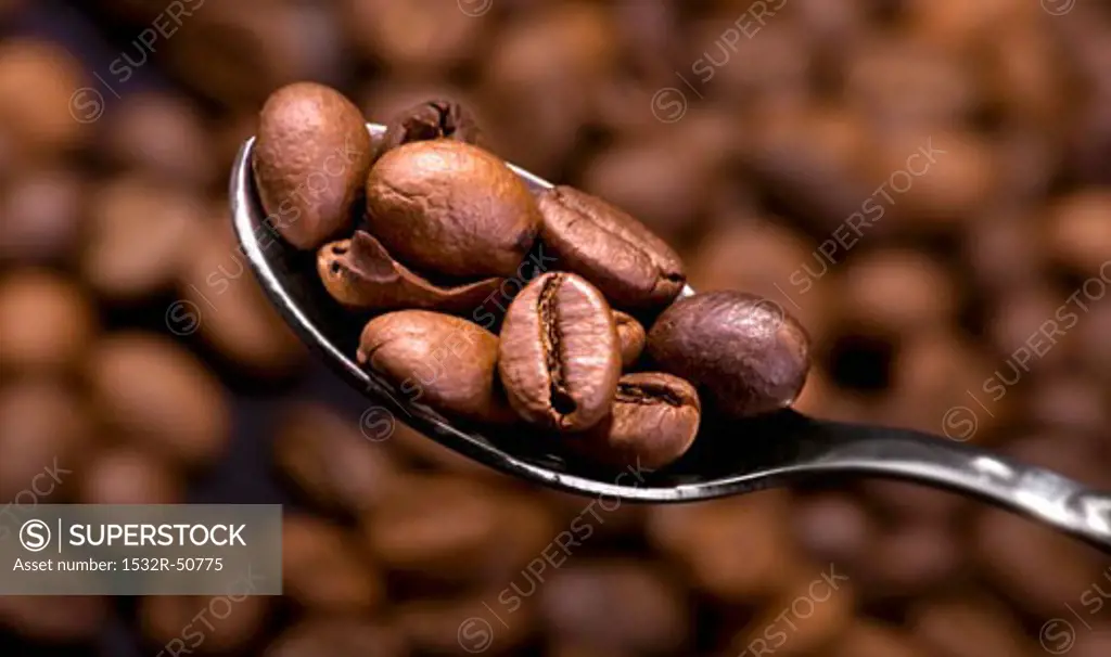 Coffee beans on spoon against background of coffee beans