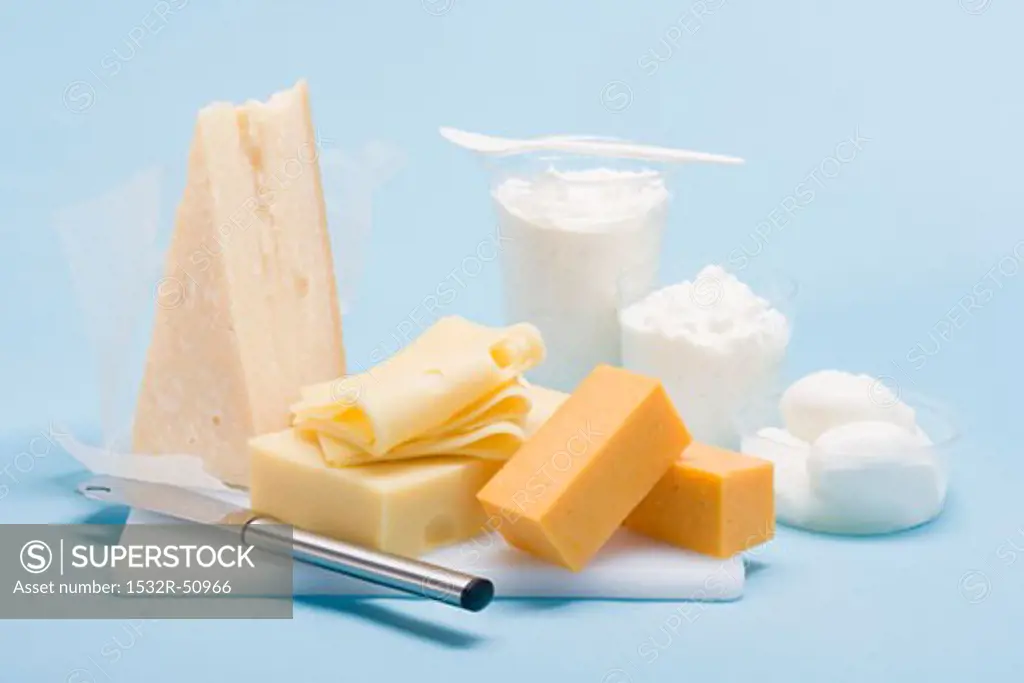 Still life with hard cheese and fresh cheese