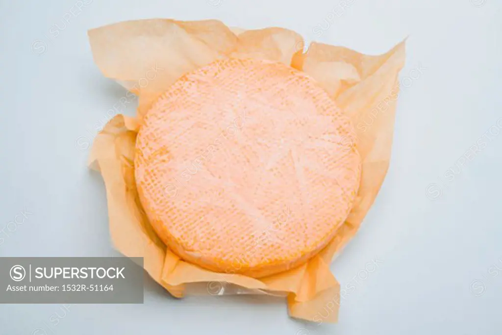 Washed-rind cheese in paper