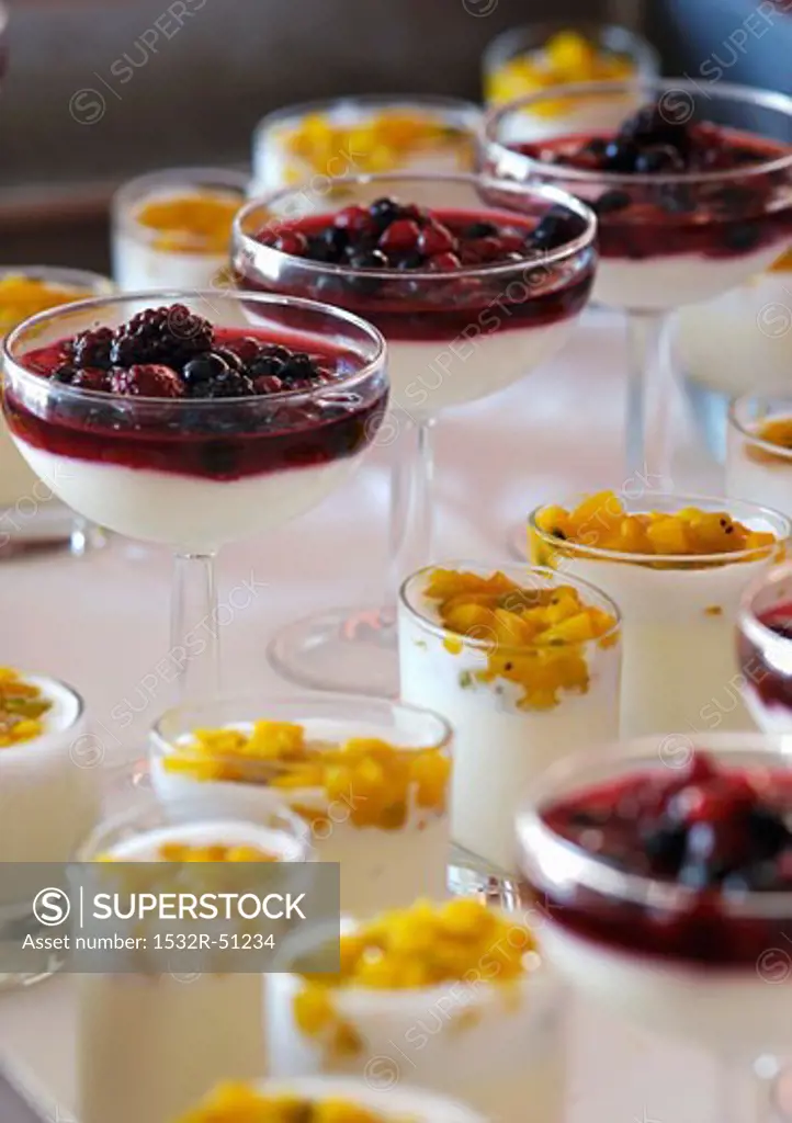 Various yoghurt desserts with fruit compote