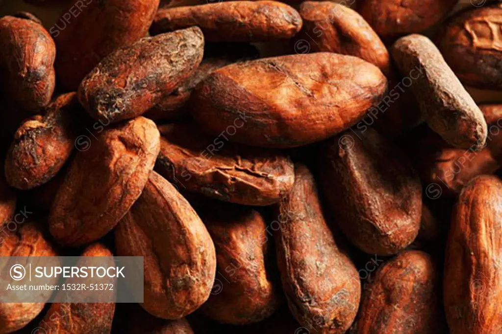 Cocoa beans (close-up)