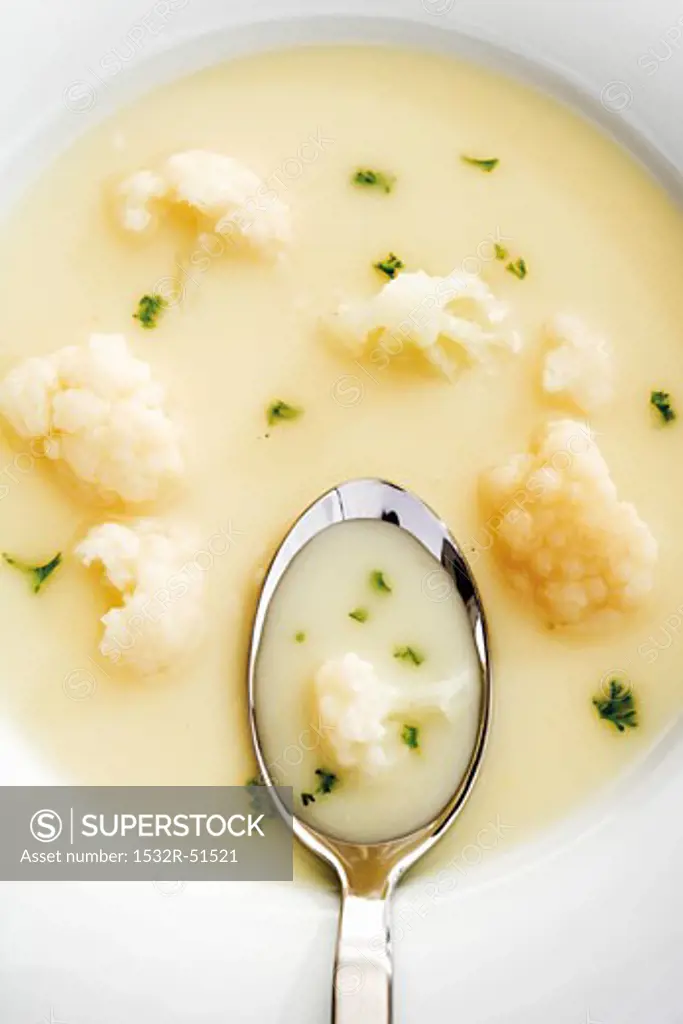 Cauliflower soup (detail)