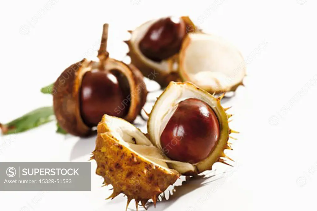 Horse chestnuts, with opened shells