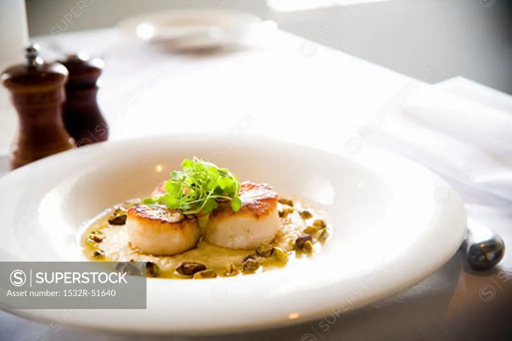 Seared Scallops in White Dish on Restaurant Table