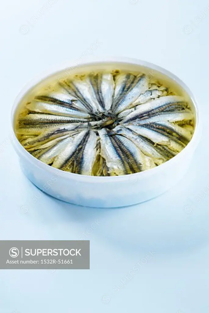 A tin of marinated sardines