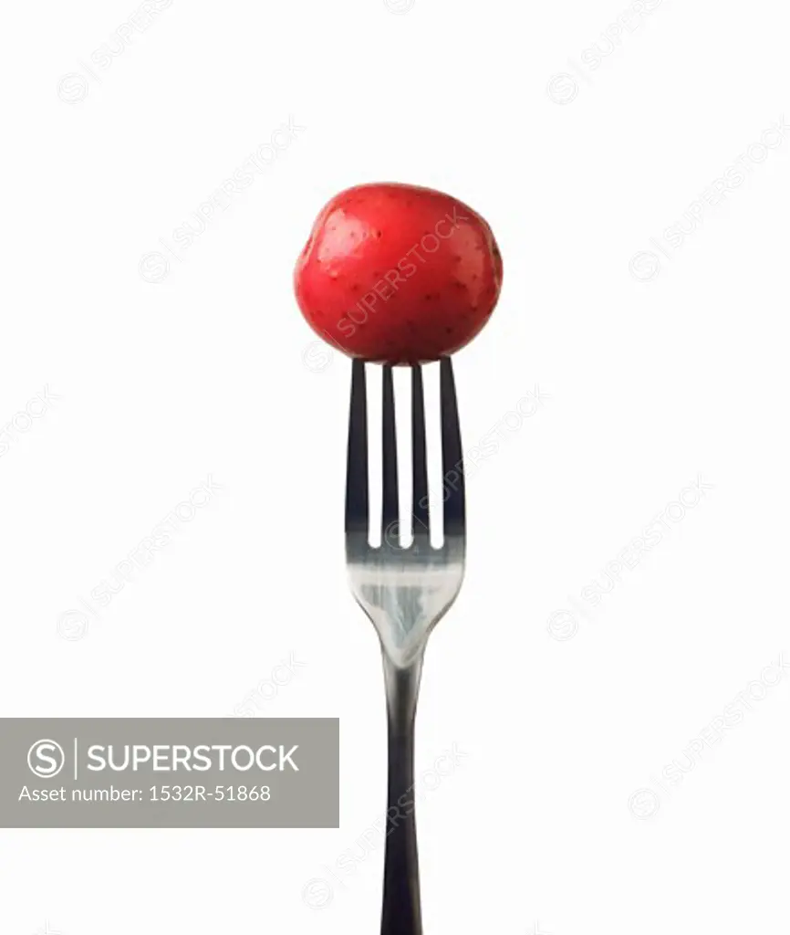 Baby Red Potato on a Fork; White Background