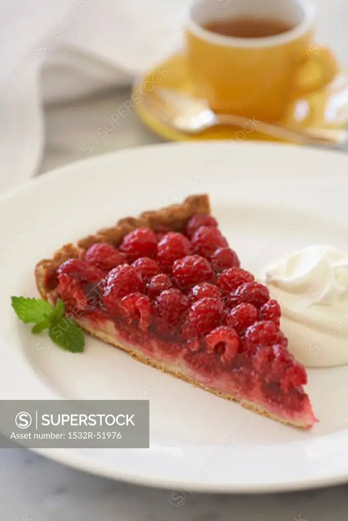 Slice of Raspberry Tart on White Plate