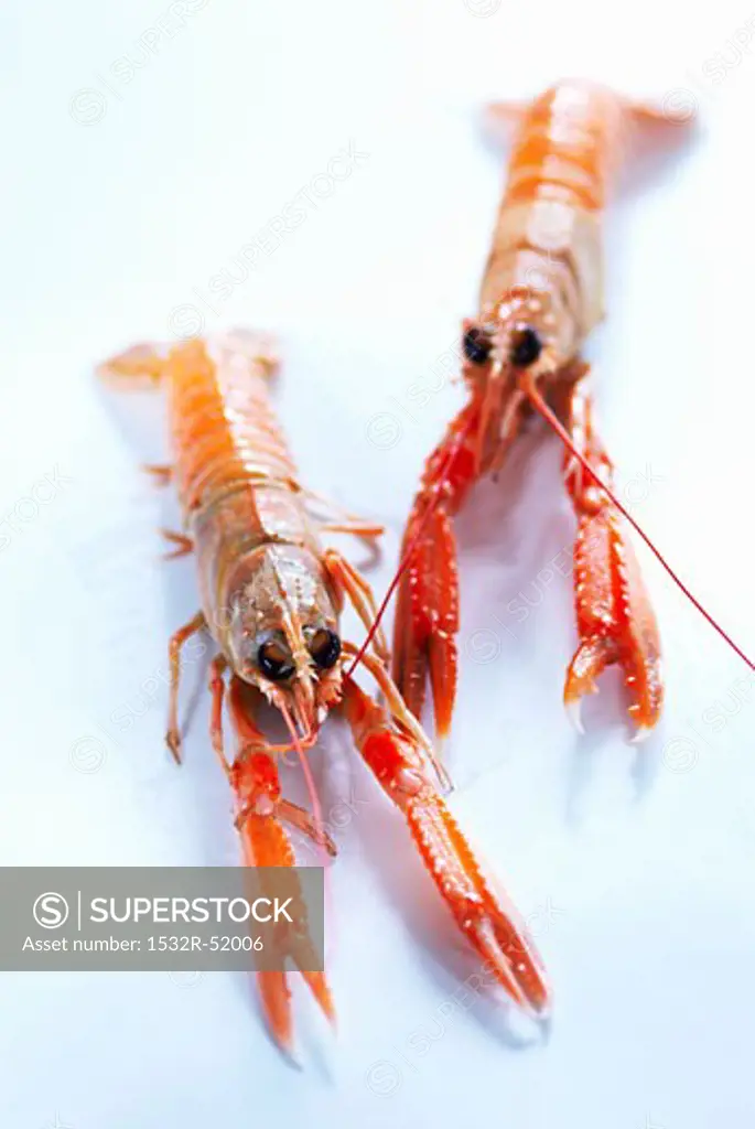 Two scampi