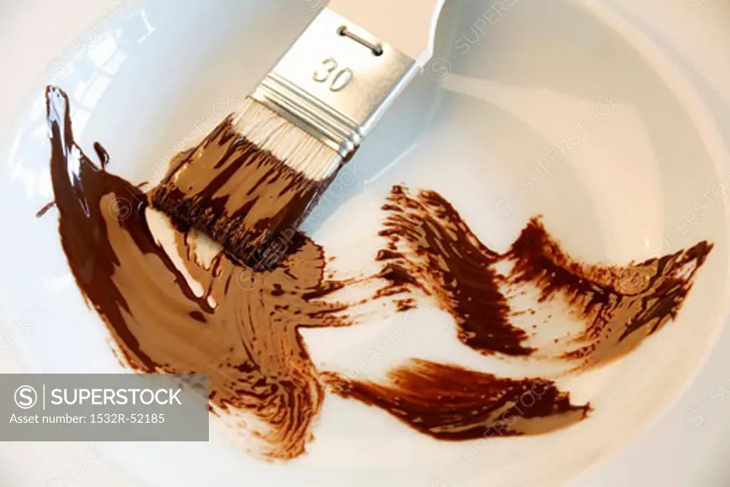 Brush with chocolate in a dish