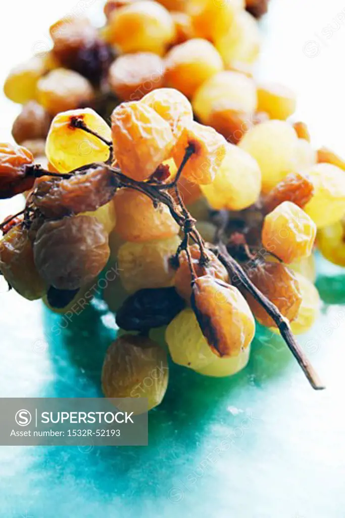 Slightly dried grapes