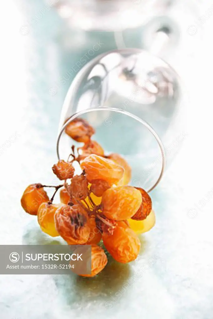 Dried grapes with a wine glass