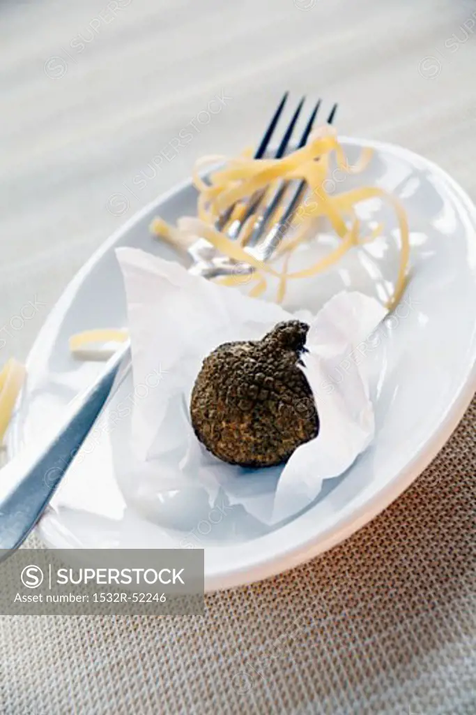 Black truffle (Périgord truffle), ribbon pasta & fork on plate