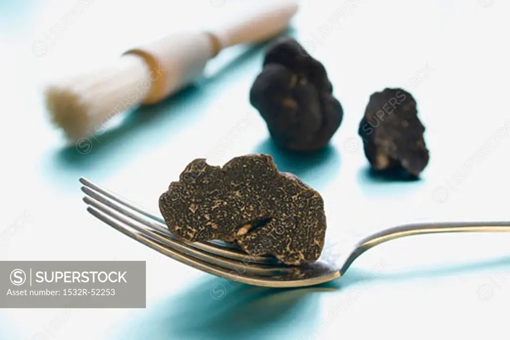 Black truffle (Perigord truffle) on fork