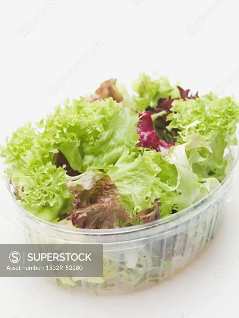 Mixed salad leaves in plastic container