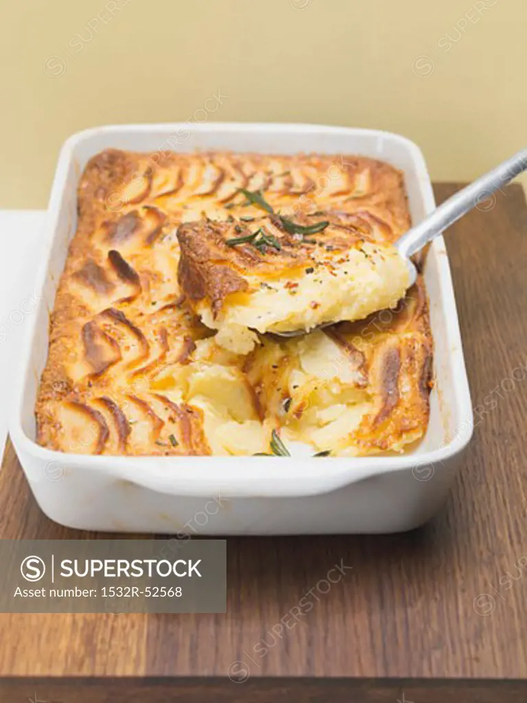 Potato gratin in baking dish with piece on server