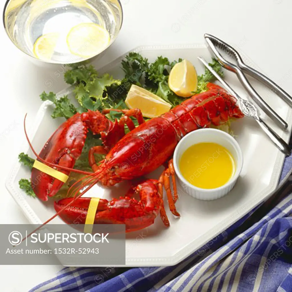 Steamed Lobster with Butter and Crackers