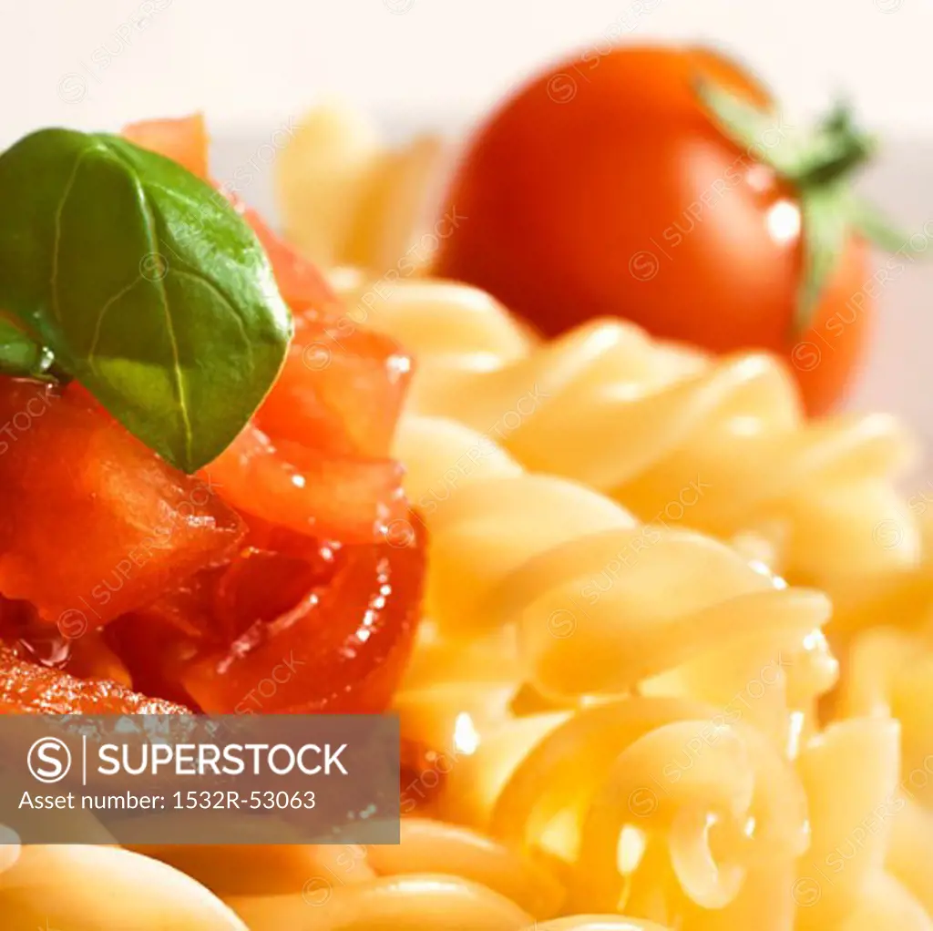 Fusilli with fresh tomatoes and basil
