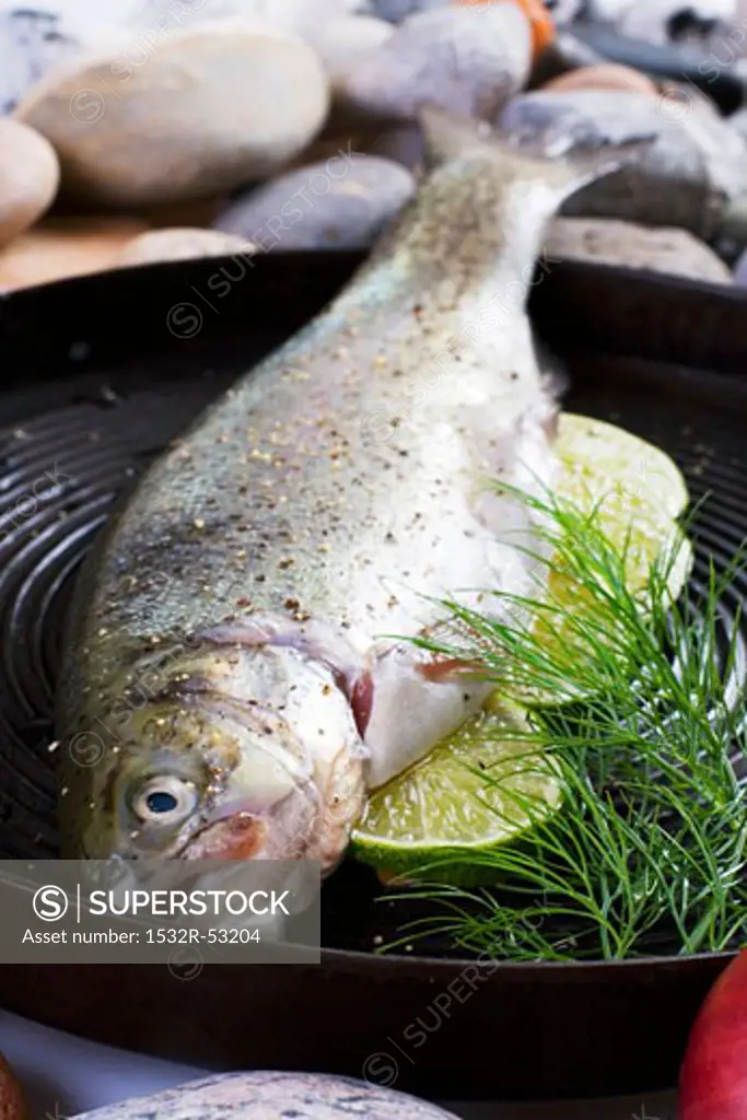 Trout with lime in a grill frying pan