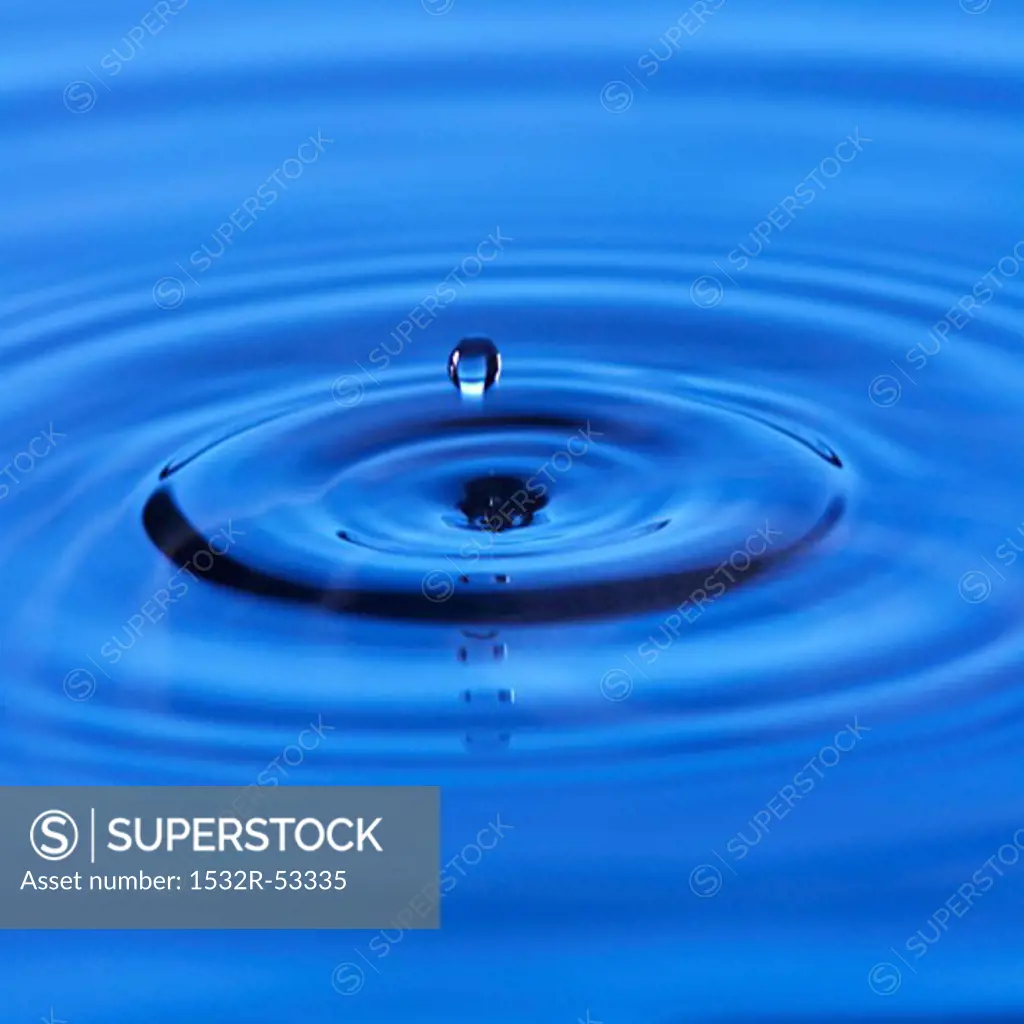 Drop of water falling into water