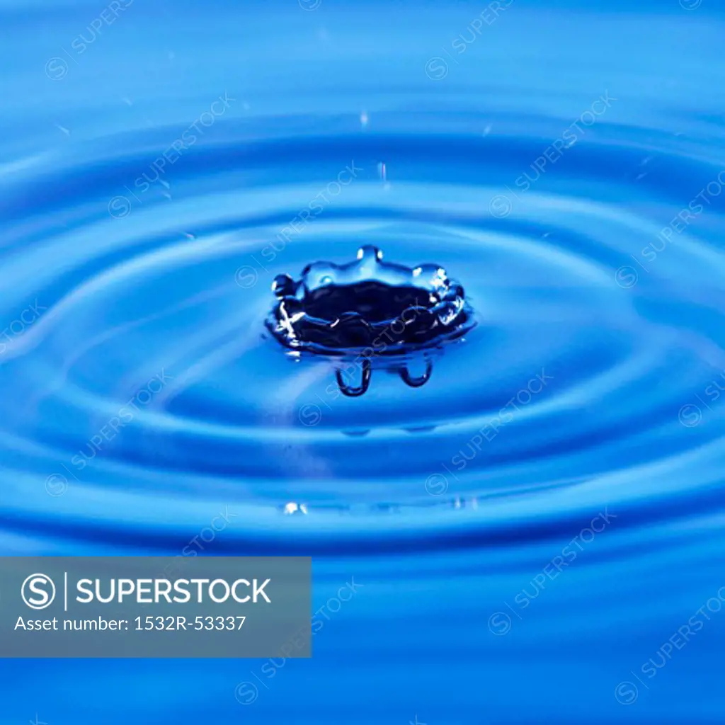 Splash caused by a drop of water falling into water