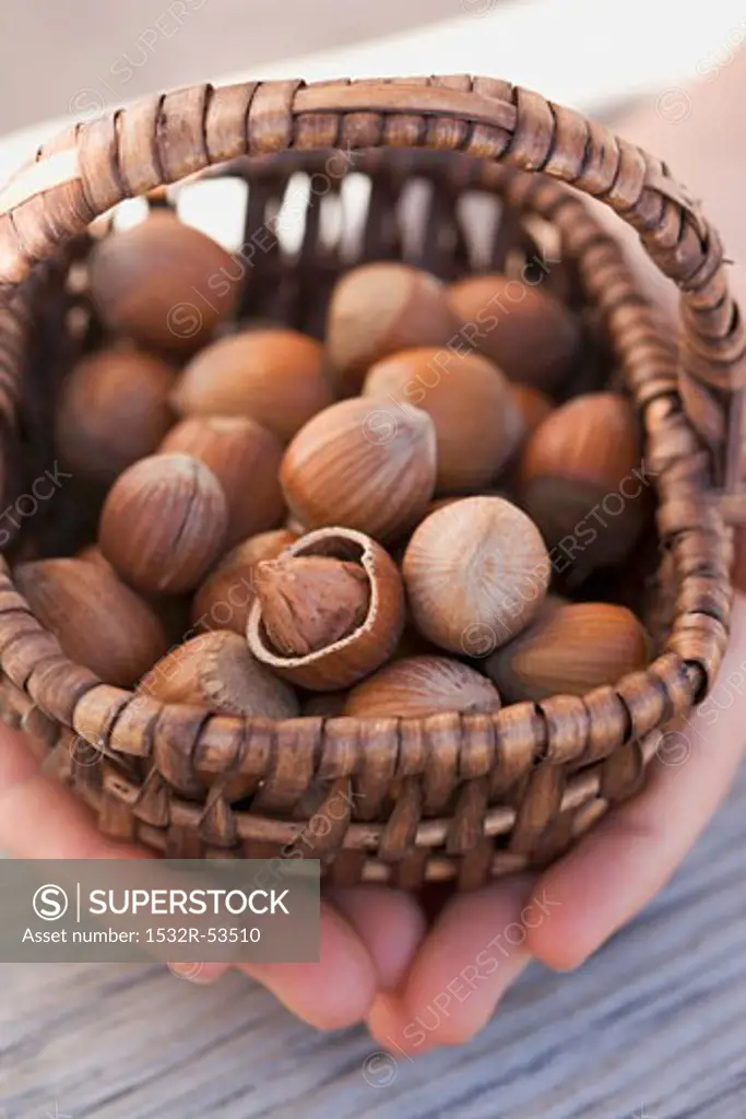 Hands holding basket of hazelnuts
