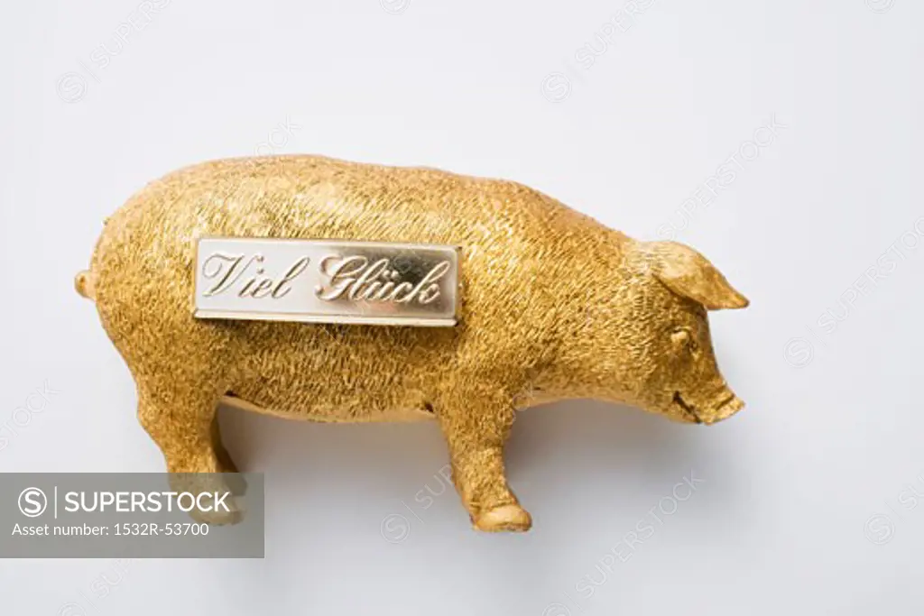 Golden pig (good luck charm for New Year)
