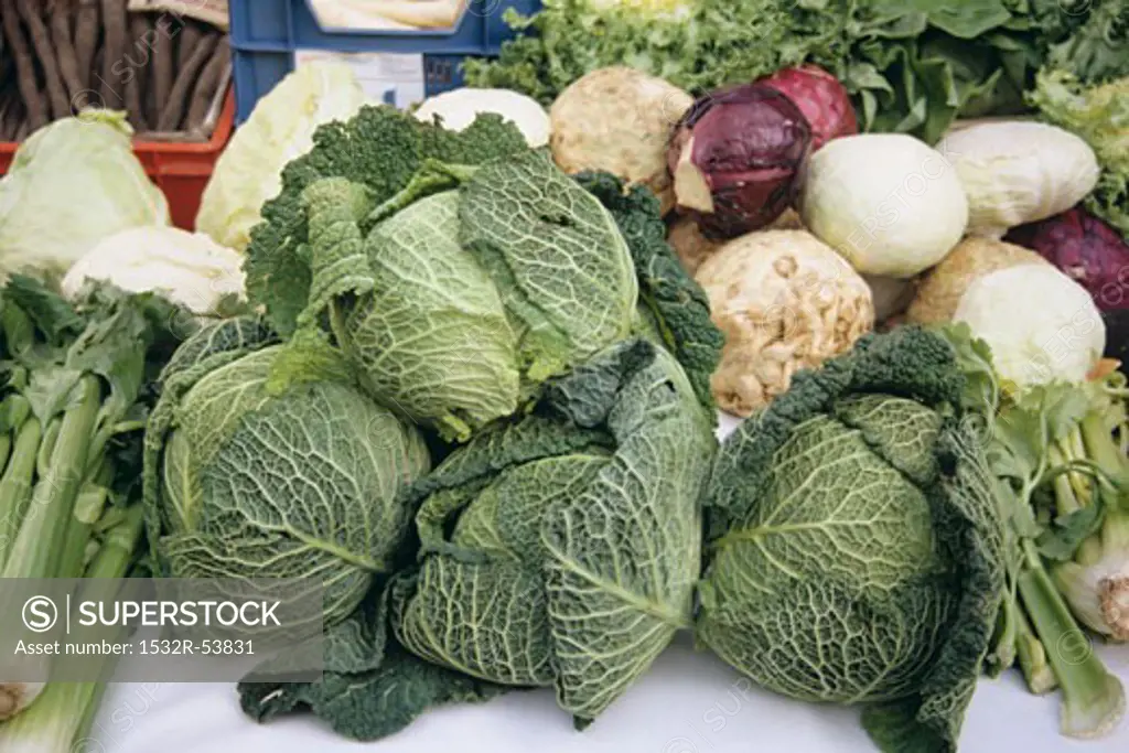 Savoy cabbages, celeriac, white & red cabbages on vegetable stall