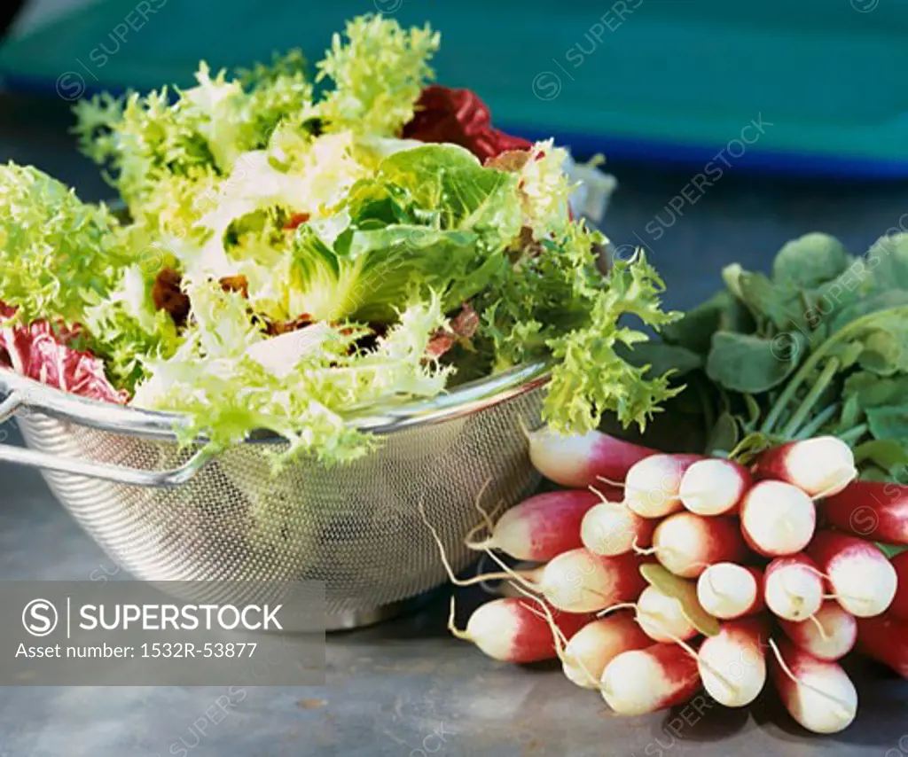 Mixed salad leaves in colander and a bunch of radishes