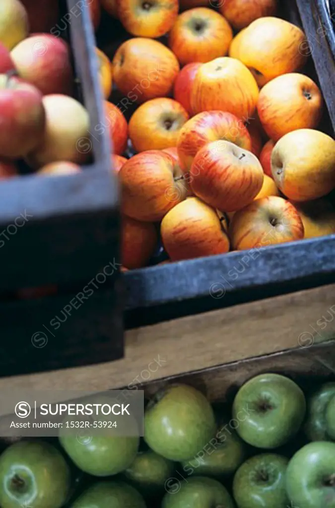 Different kinds of apples in crates
