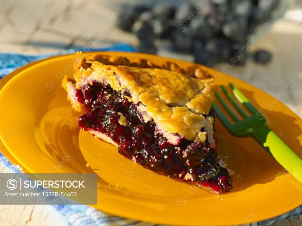 Slice of Organic Blueberry Pie