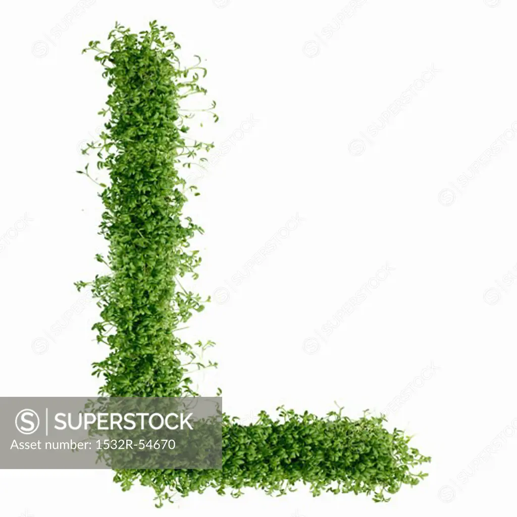 The letter L in cress