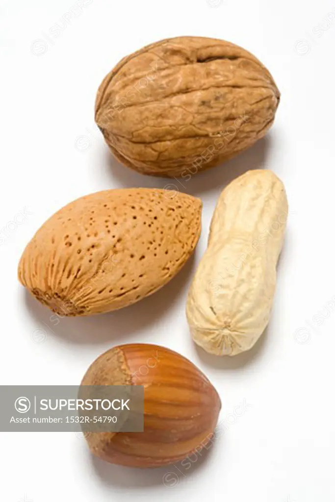 Walnut, almond, peanut and hazelnut