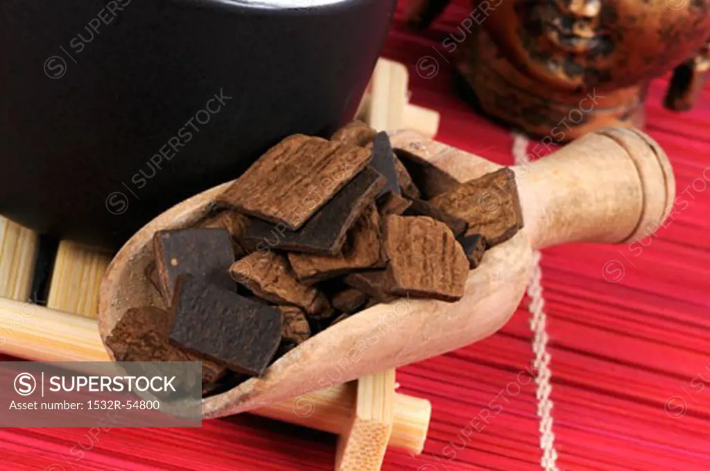 Eucommia bark in a wooden scoop