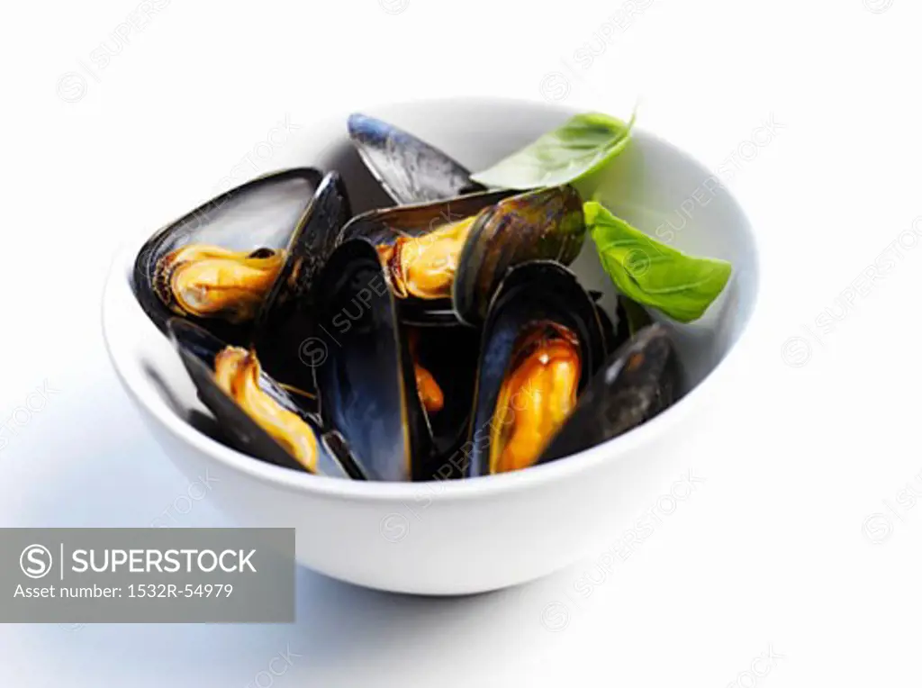 Mussels in a bowl