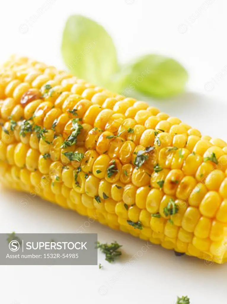 Grilled corn on the cob with herbs