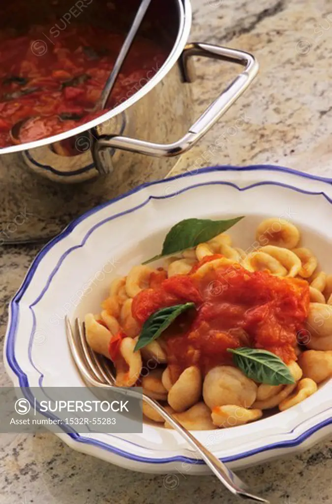 Orecchiette pasta with tomato sauce