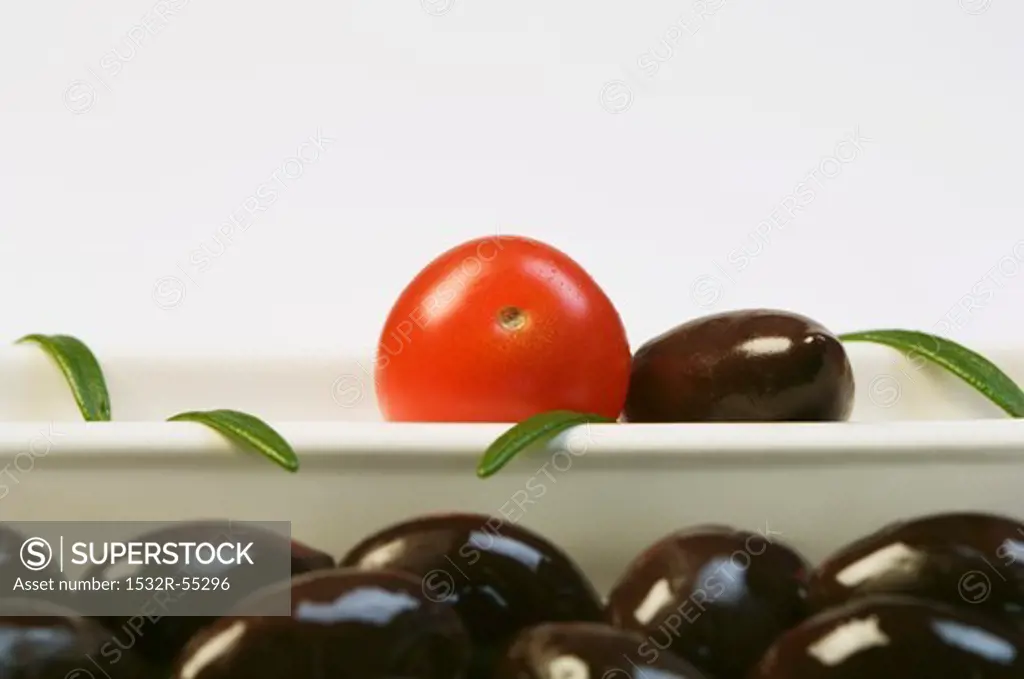 Kalamata olives, a cherry tomato and rosemary
