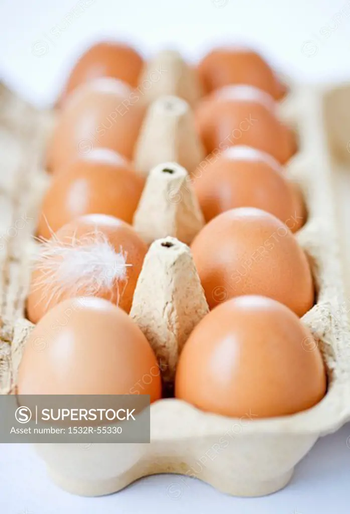 Ten eggs in an egg box