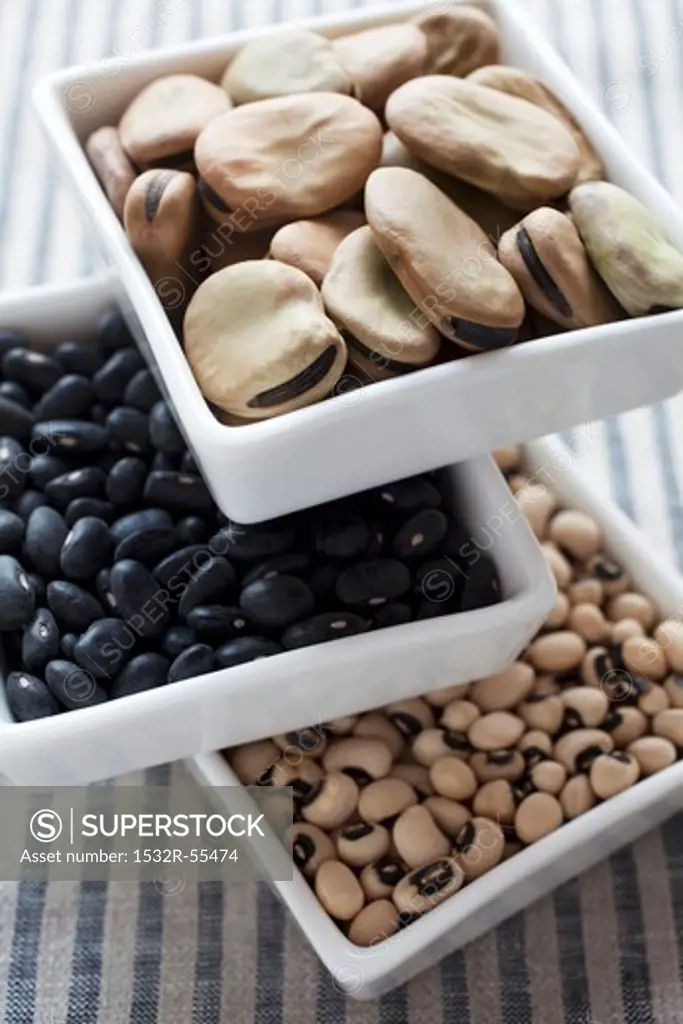 Various types of dried beans