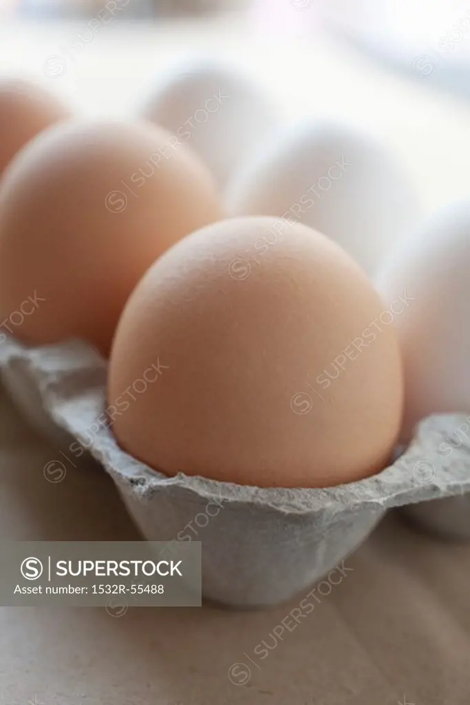 Six eggs in an egg box