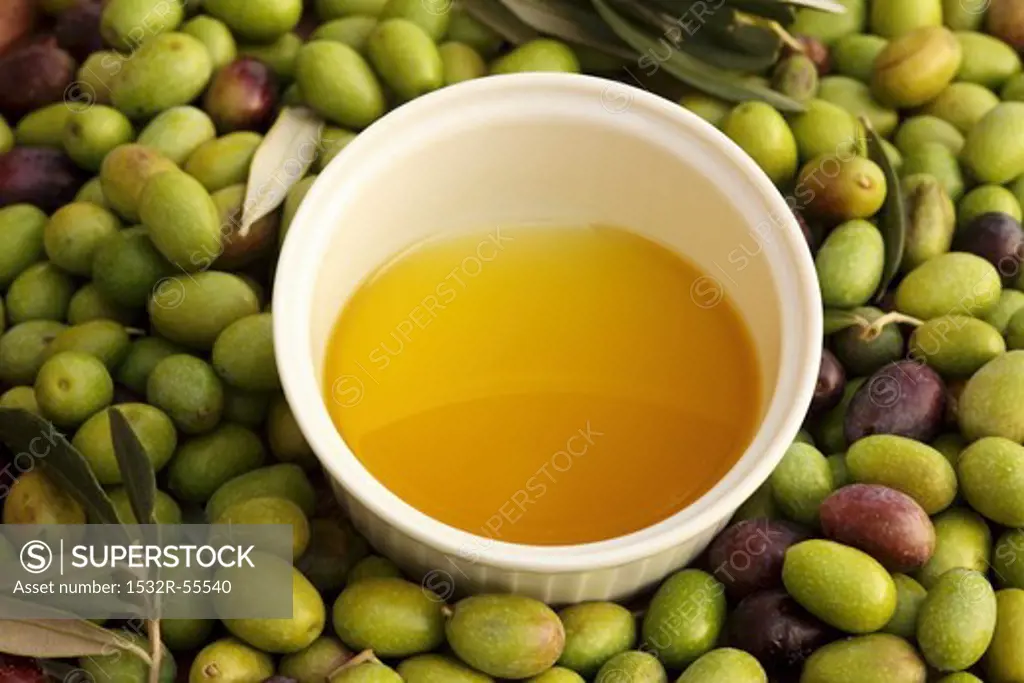 Cold-pressed olives oil in a bowl with olives, Perugia, Umbria, Italy