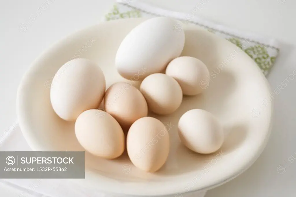 Various kinds of eggs on plate