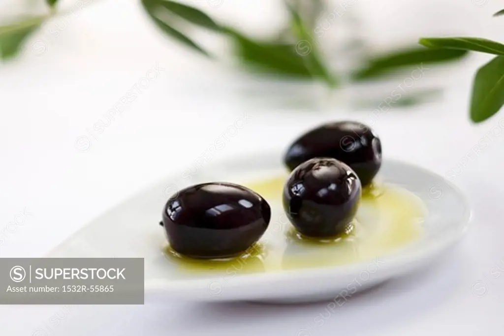 Kalamata olives and olive sprig