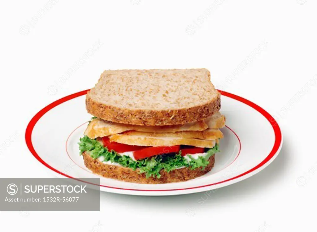 Sliced Chicken Breast Sandwich on Wheat Bread; On a Plate; White Background