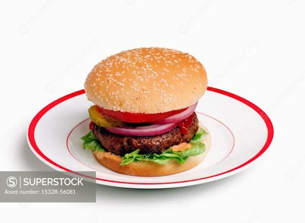 Hamburger with Tomato, Onion and Pickles on Sesame Seed Bun; White Background
