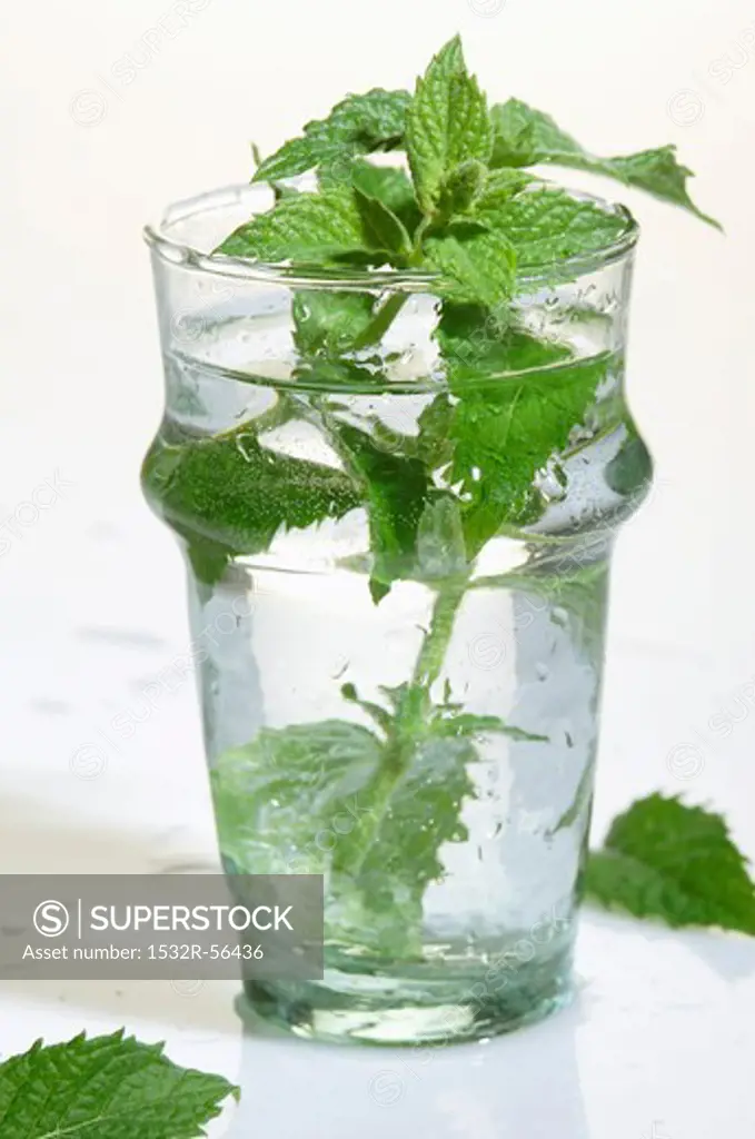 Peppermint in a glass of water