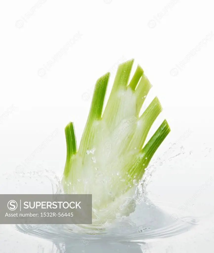 A bulb of fennel falling into water
