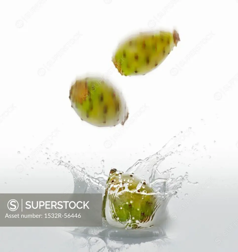 Cactus figs falling into water