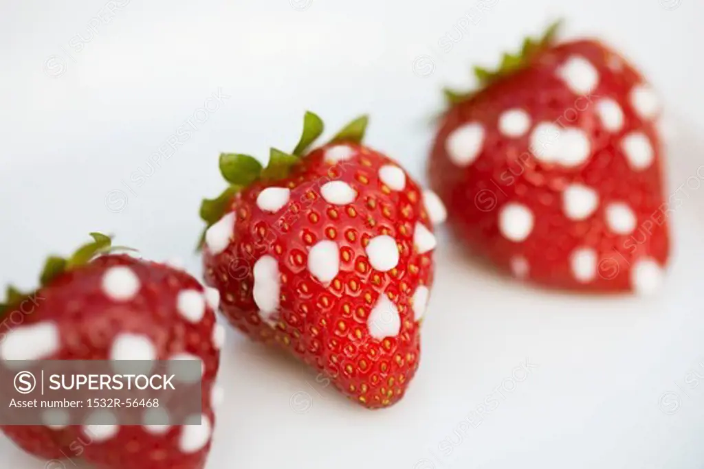 Strawberries with icing sugar dots