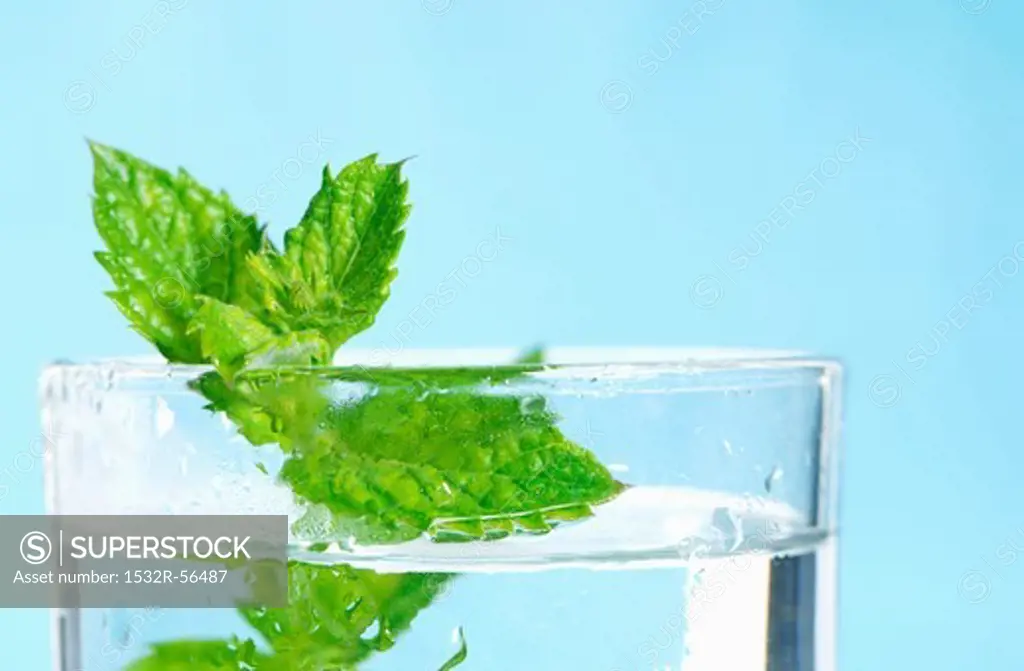 Fresh peppermint in a glass of water